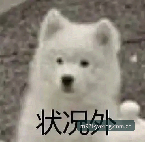 亚星娱乐平台iOS版深度评测：从一脸懵到3分钟上手，我经历了什么？